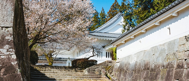 宮崎県日南市