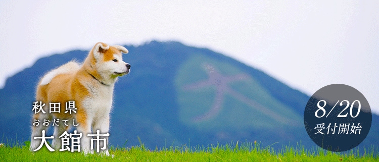 秋田県大館市