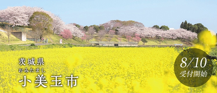 茨城県小美玉市