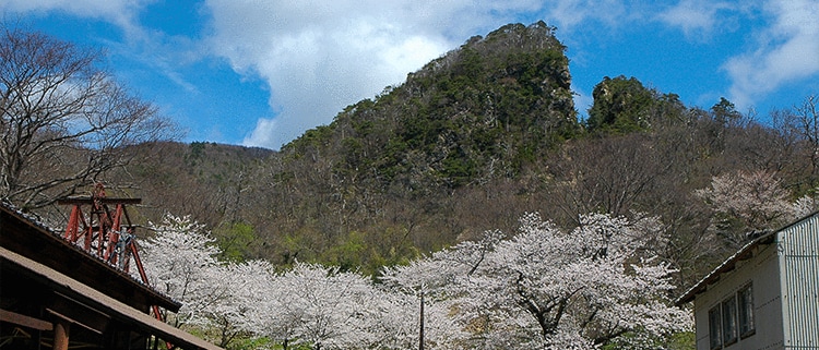 新潟県佐渡市