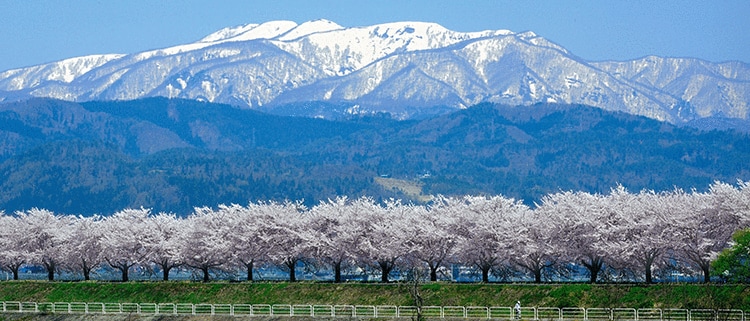 山形県寒河江市