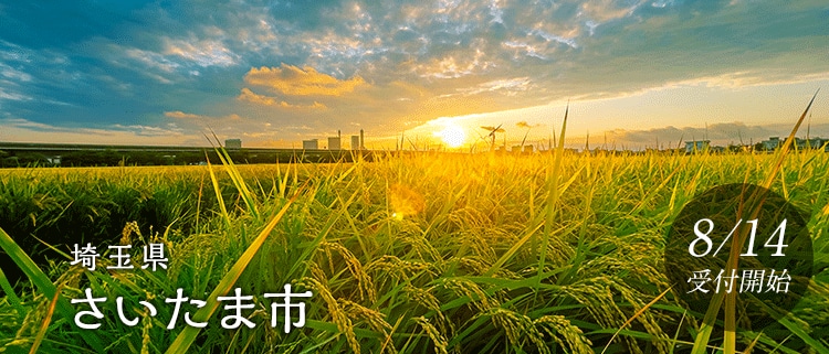 埼玉県さいたま市