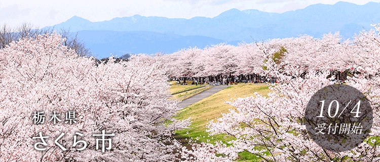 栃木県さくら市