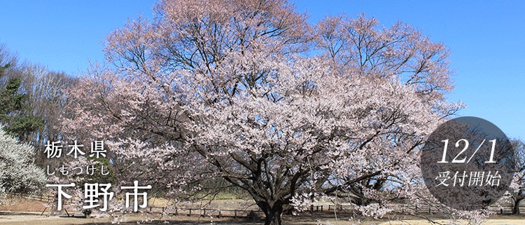 栃木県下野市