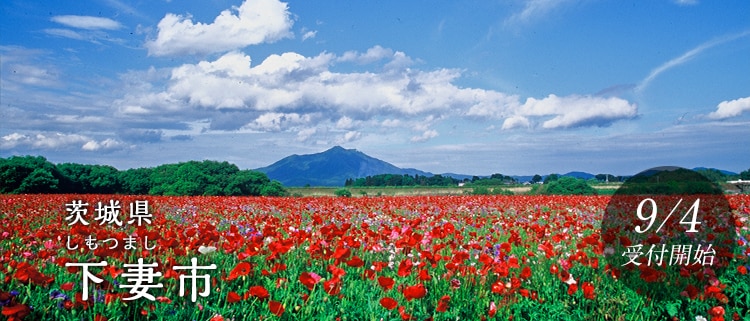 茨城県下妻市