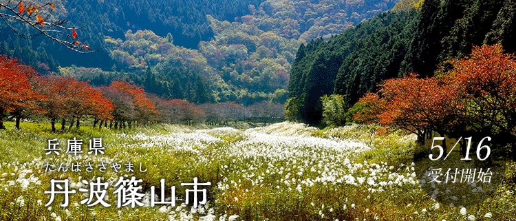 兵庫県丹波篠山市