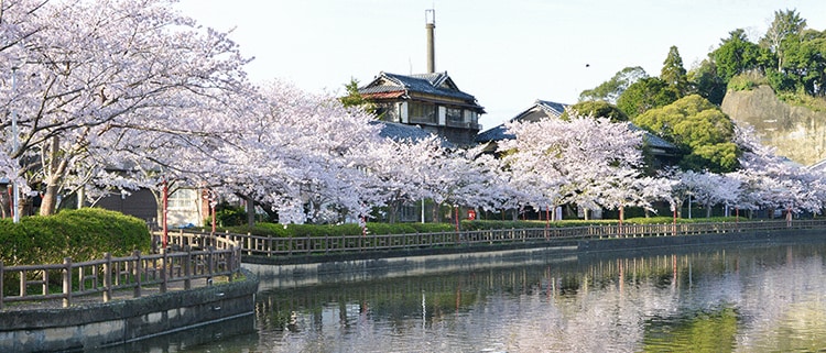 千葉県東金市