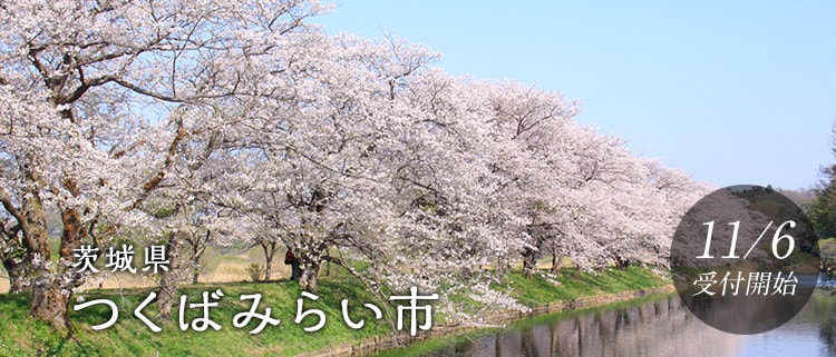 茨城県つくばみらい市