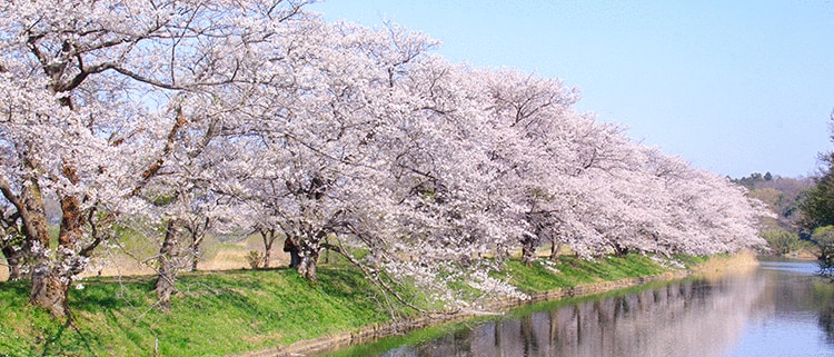 茨城県つくばみらい市