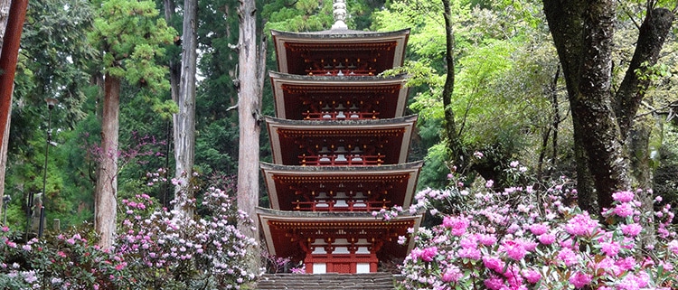 奈良県宇陀市