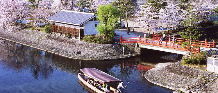 京都府宇治市