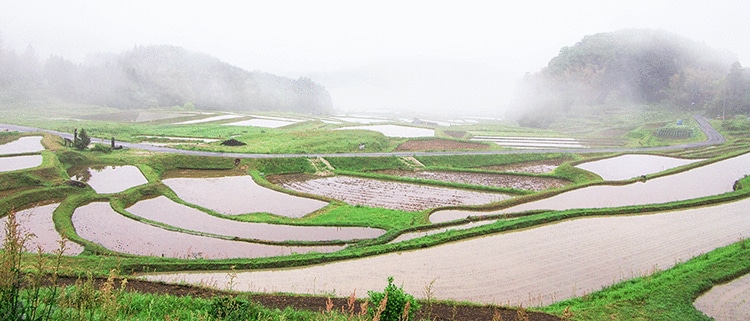 島根県雲南市