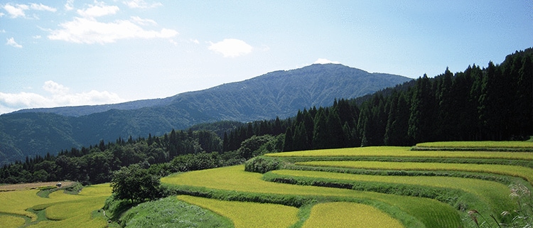 兵庫県養父市