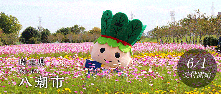 埼玉県八潮市