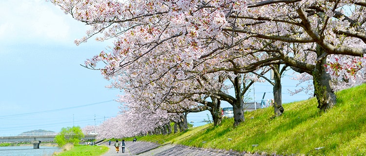福岡県行橋市
