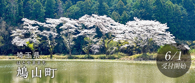 埼玉県鳩山町