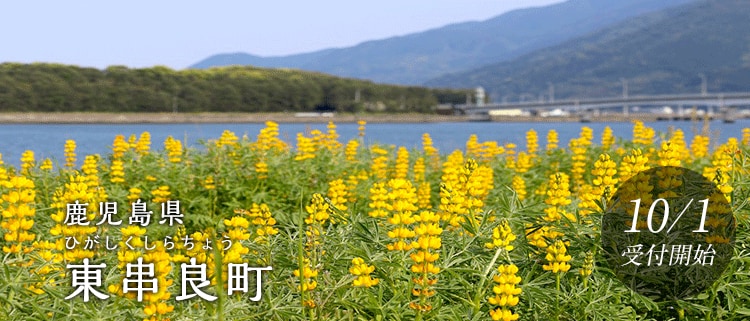鹿児島県東串良町