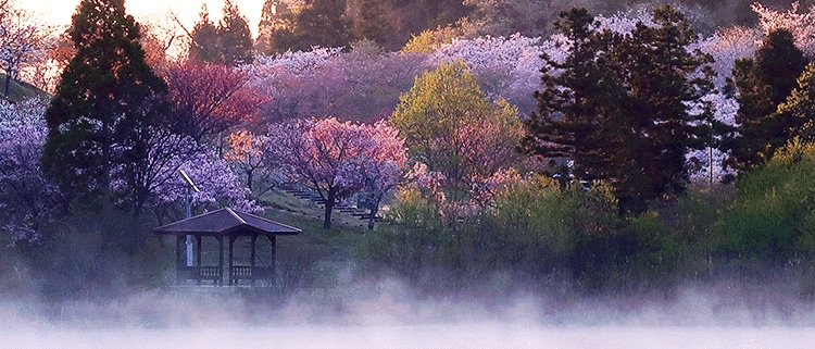 秋田県井川町