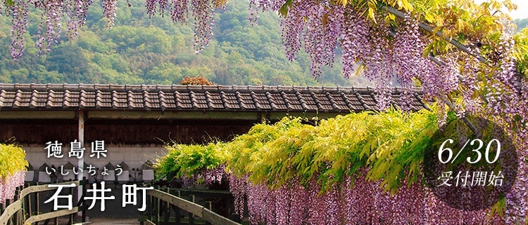 徳島県石井町