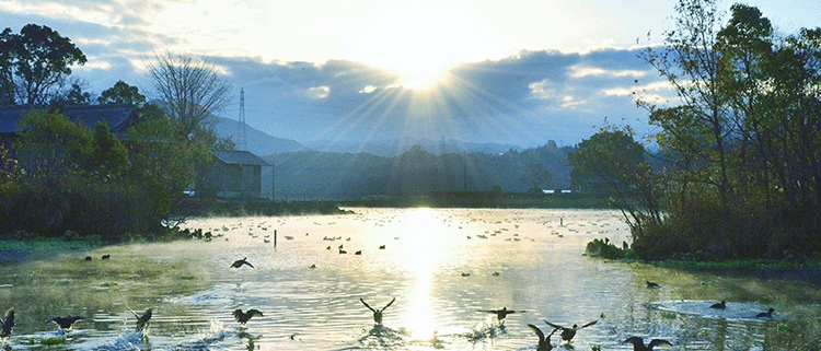 熊本県嘉島町