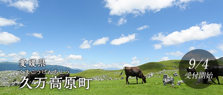 愛媛県久万高原町
