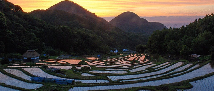 静岡県松崎町