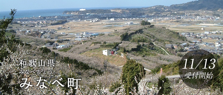 和歌山県みなべ町