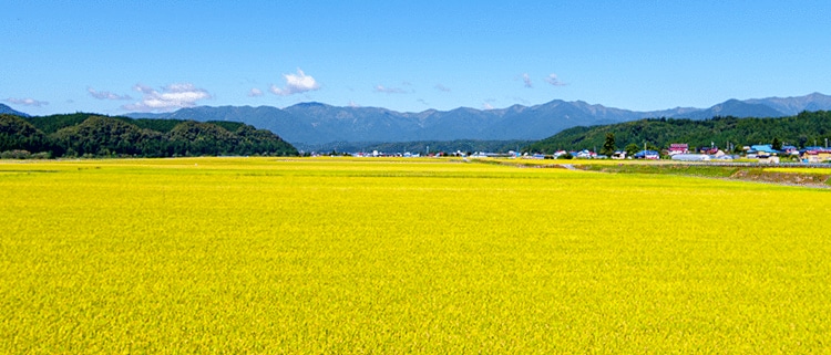 山形県最上町
