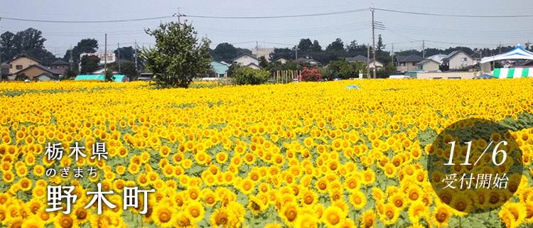 栃木県野木町
