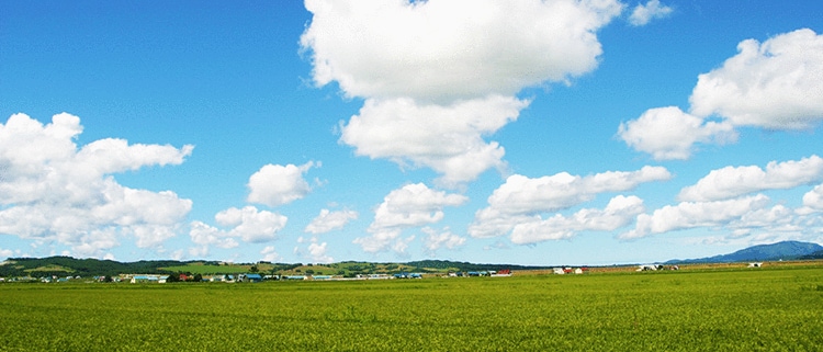 北海道沼田町