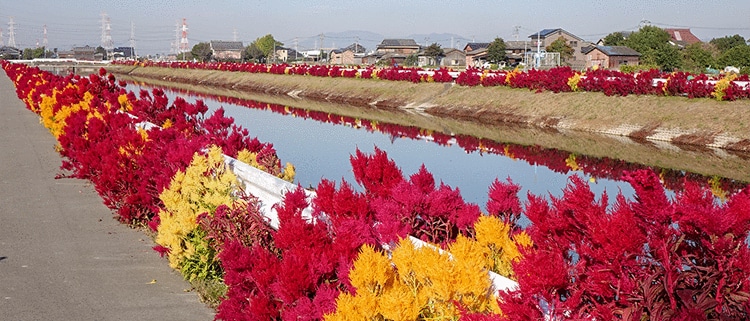 福岡県大木町