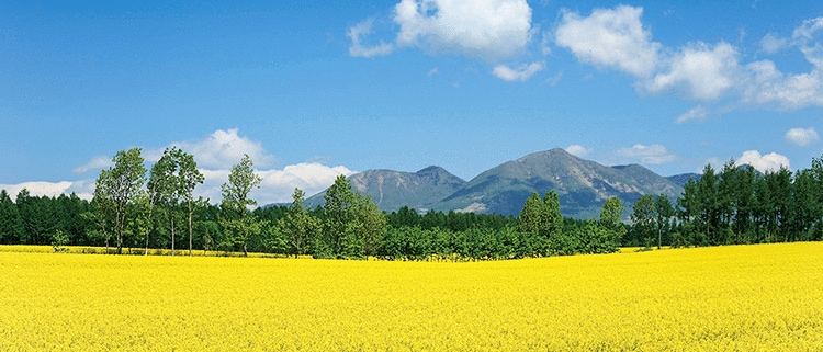 北海道音更町