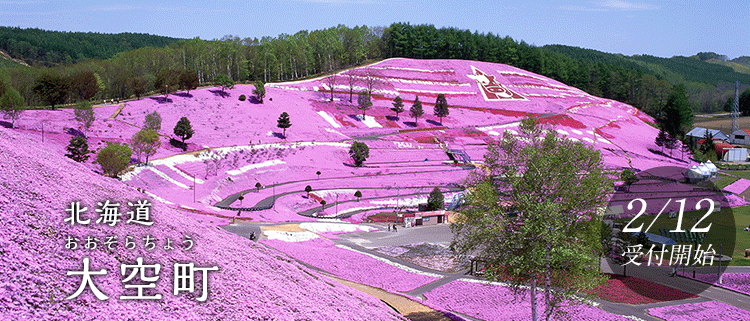 北海道大空町