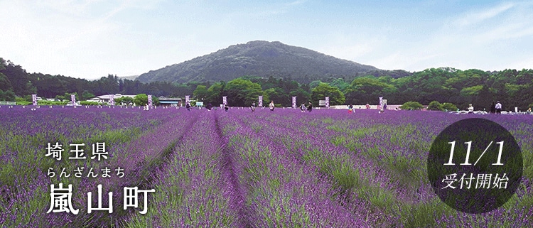 埼玉県嵐山町