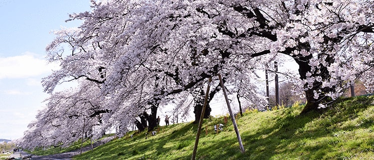 宮城県柴田町
