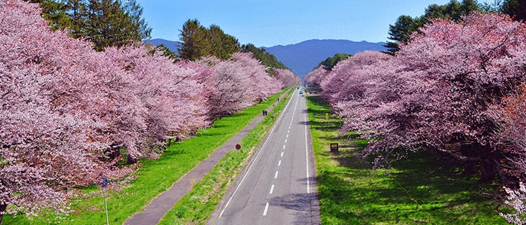 北海道新ひだか町
