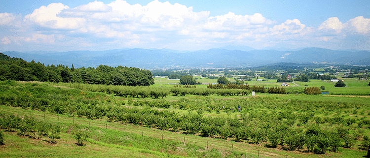 岩手県紫波町