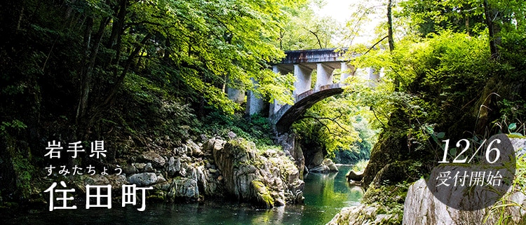 岩手県住田町