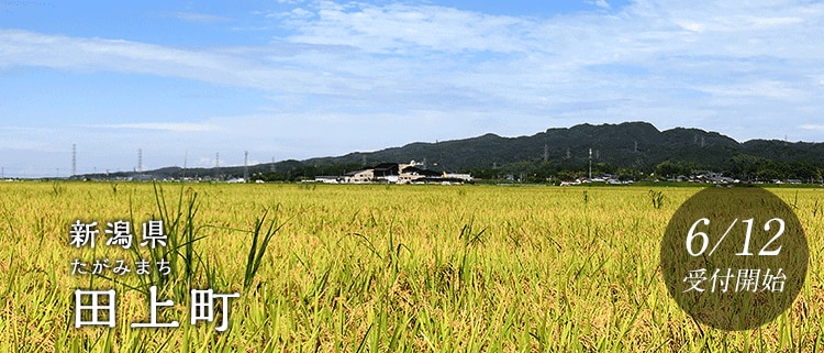 新潟県田上町