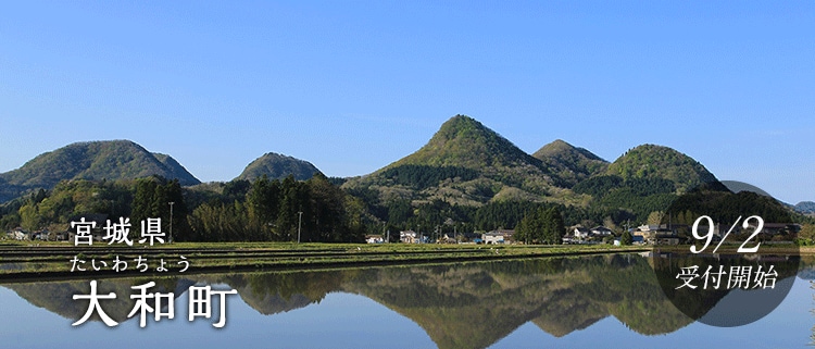 宮城県大和町