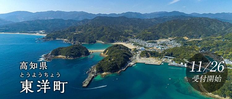 高知県東洋町