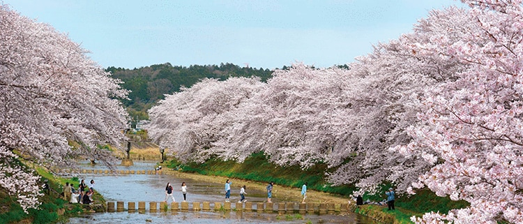 京都府宇治田原町
