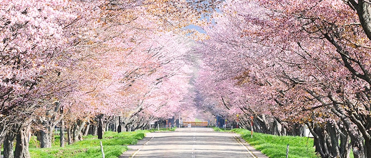 北海道浦河町