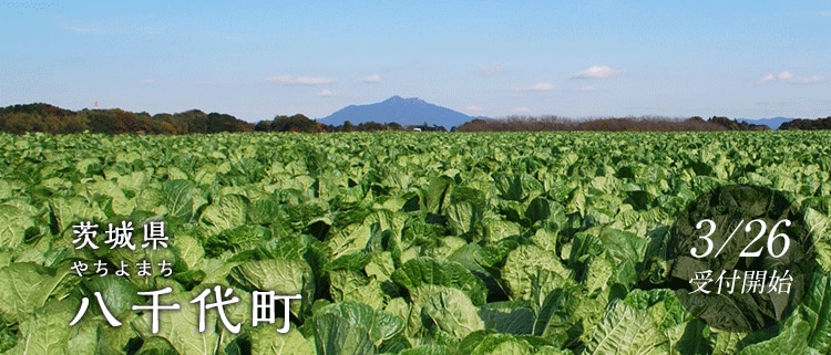 茨城県八千代町