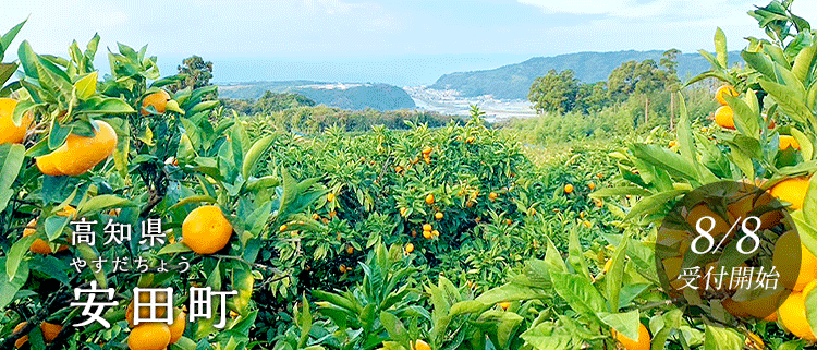 高知県安田町