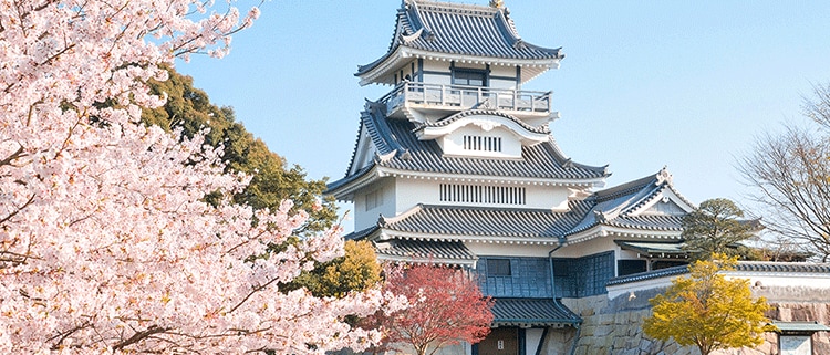 静岡県吉田町