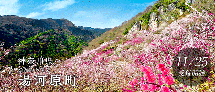 神奈川県湯河原町