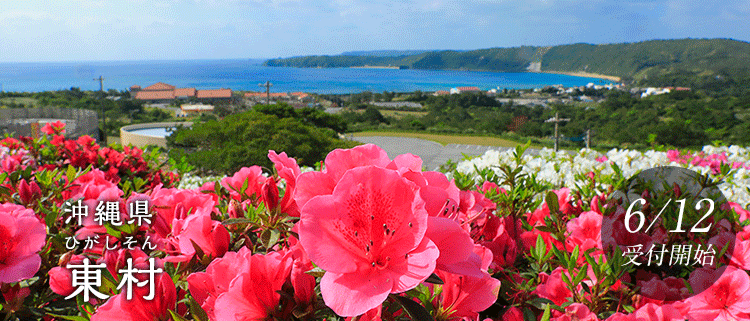 沖縄県東村