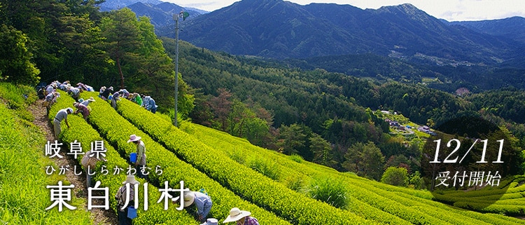 岐阜県東白川村