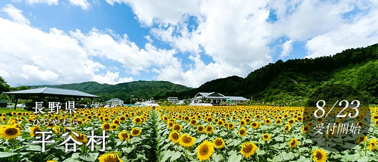 長野県平谷村